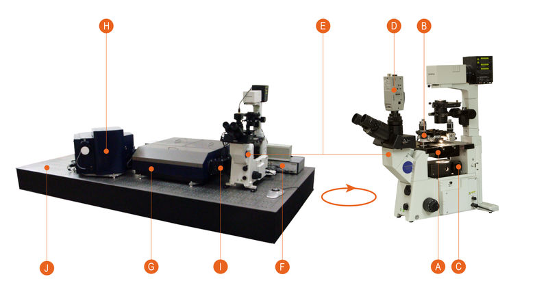 Centaur HR - СЗМ совмещенный со спектрометром высокого разрешения, оптическим и конфокальным микроскопами