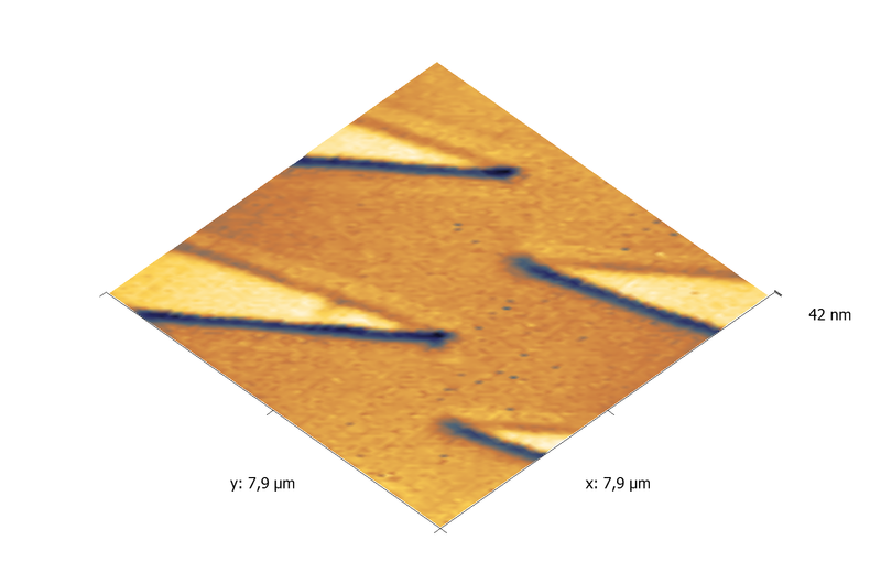 Vanadium test grating. AFM image. Topography 3D.