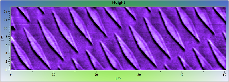 Vanadium test grating. AFM image. Topography.