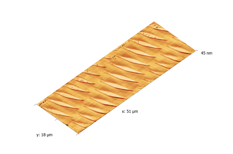 Vanadium test grating. AFM image. Topography 3D.