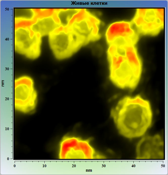 BioCell_Lum_Confocal 