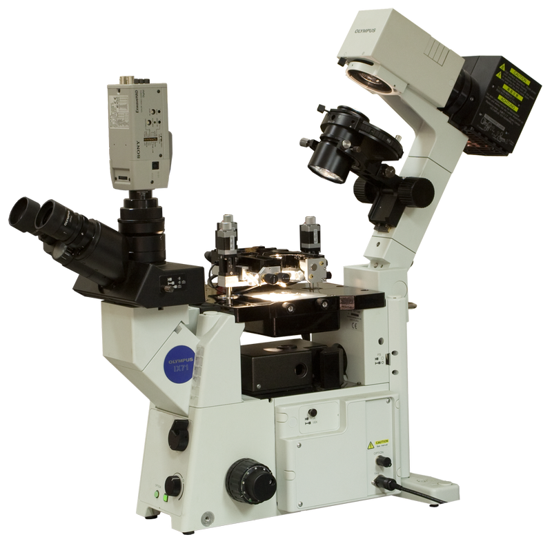 Certus Optic (AFM) with Olympus IX71