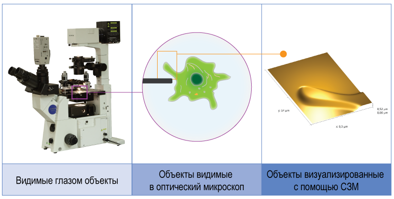 Certus Optic I - основные принципы