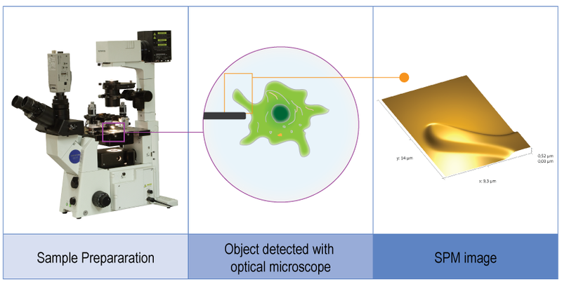 Certus Optic Idea