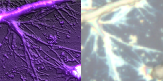Сравнение разрешения атомно-силового микроскопа и оптического микроскопа.