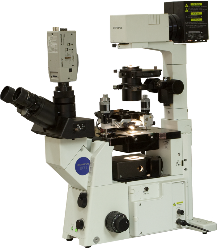 Certus Optic — integrated optical and scanning probe microscopes